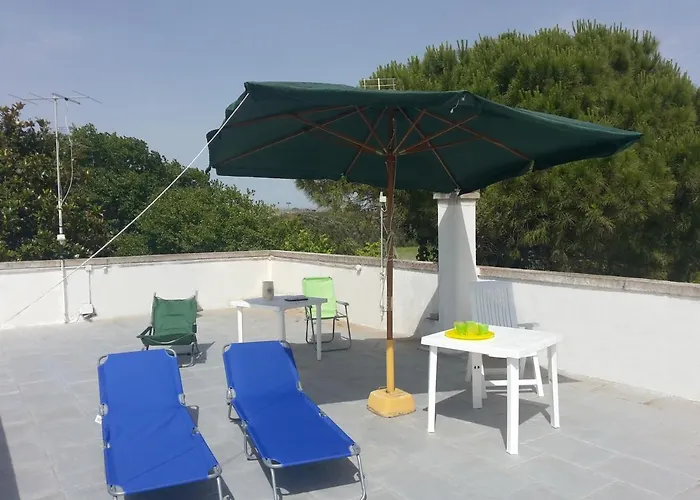 Mimose In Baia * Галлиполи